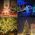Επεκτεινόμενα Χριστουγεννιάτικα Αδιάβροχα Λαμπάκια Ρεύματος 30m 300 LED με Διάφανο Καλώδιο Χρώματος Πολύχρωμα (Εποχιακά)